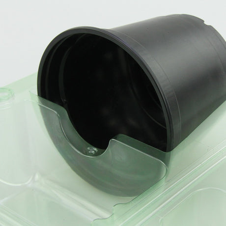 Pacco per ordine per corrispondenza per 1 pianta in un vaso di ø10,5x9cm - Confezione da 200 pz