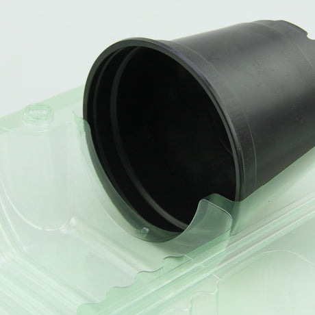 Pacco per ordine per corrispondenza per 1 pianta in un vaso di ø10,5x9cm - Confezione da 200 pz