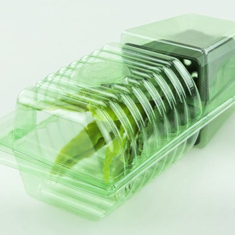 Pacco per ordine per corrispondenza per 1 pianta in un vaso di 9x9x10 cm - Confezione da 200 pz