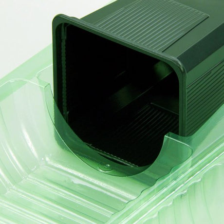 Pacco per ordine per corrispondenza contenente 1 pianta in un vaso di 9x9x10 cm - Confezione da 200 pz
