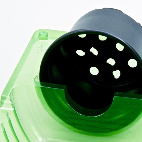 Pacco per ordine per corrispondenza contenente 1 pianta in vaso ø9x7cm - Confezione da 200 pz