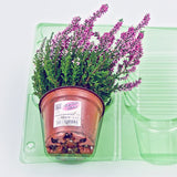 Pacco per ordine per corrispondenza per 1 pianta in vaso ø9x7cm.
