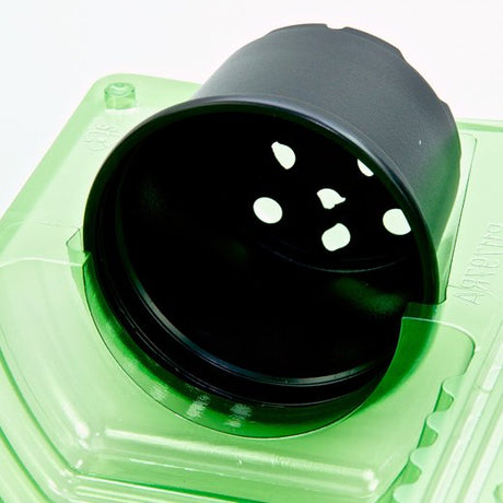Pacco per ordine per corrispondenza per 1 pianta in vaso ø9x7cm - Confezione da 200 pz