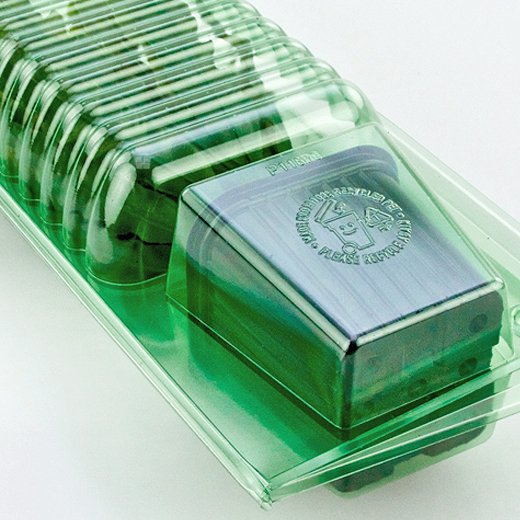 Pacco per ordine per corrispondenza per 1 pianta in un vaso di 7x7x6 cm.
