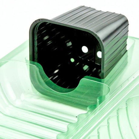 Pacco per ordine per corrispondenza per 1 pianta in un vaso di 7x7x6 cm - Confezione da 500 pz