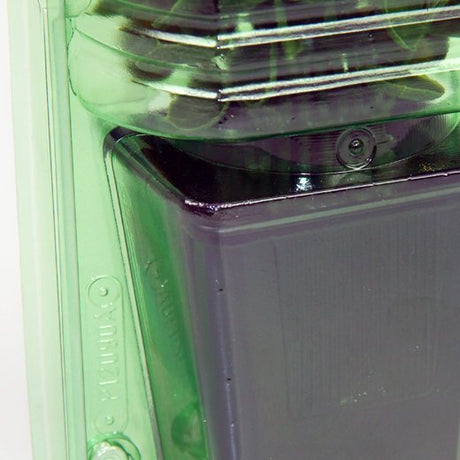 Pacco per ordine per corrispondenza per 1 pianta in un vaso di 9x9x10 cm - Confezione da 150 pz