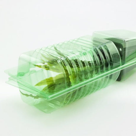 Pacco per ordine per corrispondenza per 1 pianta in un vaso di 9x9x10 cm - Confezione da 150 pz