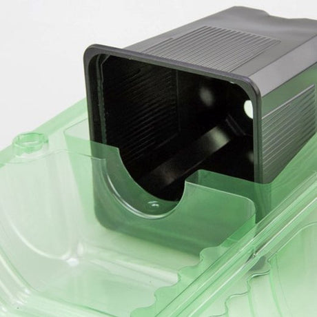 Pacco per ordine per corrispondenza per 1 pianta in un vaso di 9x9x10 cm - Confezione da 150 pz
