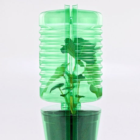 Pacco per ordine per corrispondenza per 1 pianta in un vaso di ø13x12cm - Confezione da 150 pz