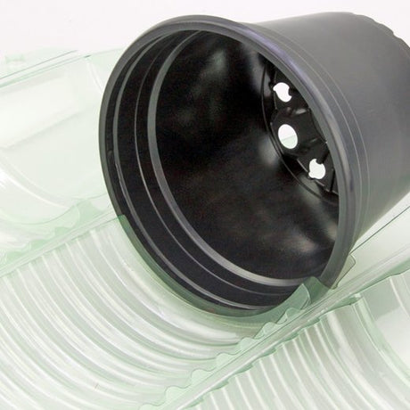 Pacco per ordine per corrispondenza per 1 pianta in un vaso di ø14x10cm - Confezione da 200 pz
