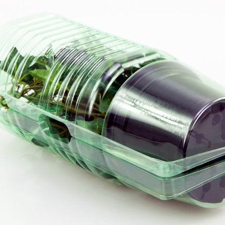 Pacco per ordine per corrispondenza per 1 pianta in un vaso di ø12x9cm - Confezione da 400 pz