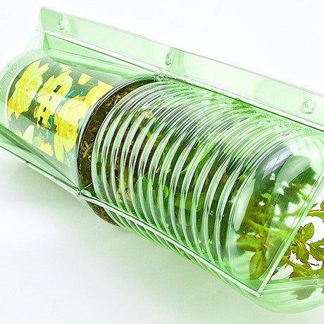 Paket für Versandbestellungen für 1 Pflanze in einem Topf von ø15x21cm (auch geeignet für Töpfe von 11x11x21cm).