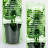 Pacco per ordine per 1 pianta in un vaso di ø14x14cm (adatto anche per vasi di ø15x13cm).
