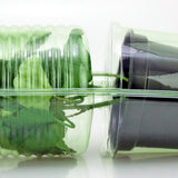 Pacco per ordine per 1 pianta in un vaso di ø14x14cm (adatto anche per vasi di ø15x13cm).