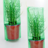 Pacco per ordine per 1 pianta in un vaso di ø14x14cm (adatto anche per vasi di ø15x13cm).