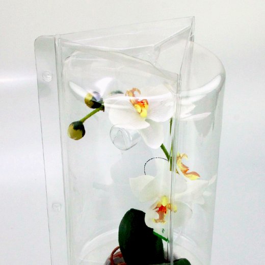 Confezione per 1 pianta in vaso ø15x9cm.
