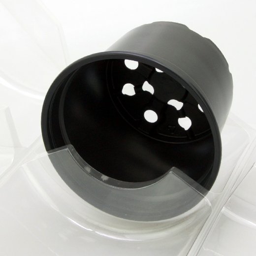 Confezione per 1 pianta in vaso ø15x9cm.