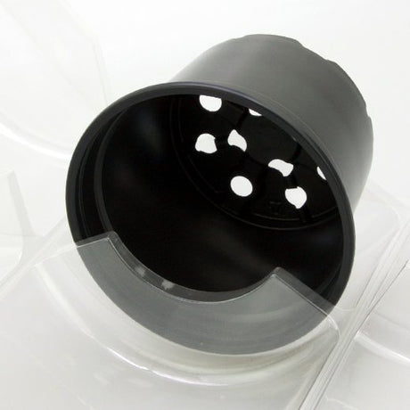 Confezione per 1 pianta in vaso ø15x9cm - Cartone da 150 pz