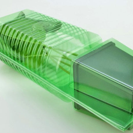Pacco per ordine per corrispondenza per 1 pianta in un vaso di 11x11x12 cm - Confezione da 125 pz