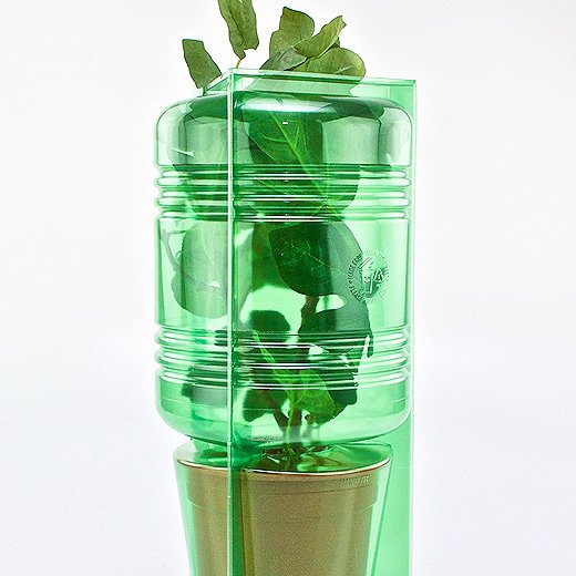 Pacco per ordine per corrispondenza per 1 pianta in un vaso di ø17x16cm.
