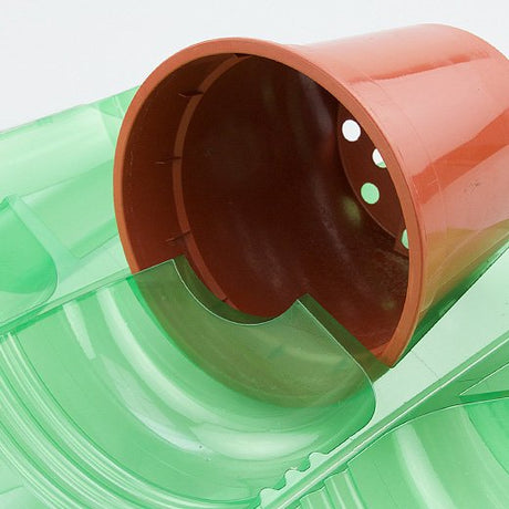 Pacco per ordine per corrispondenza per 1 pianta in un vaso di ø17x16cm - Confezione da 75 pz