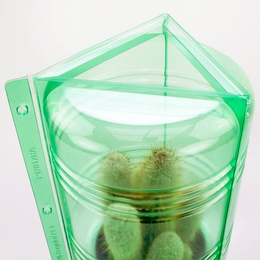 Pacco per ordine per corrispondenza per 1 pianta in un vaso di ø17x16cm.