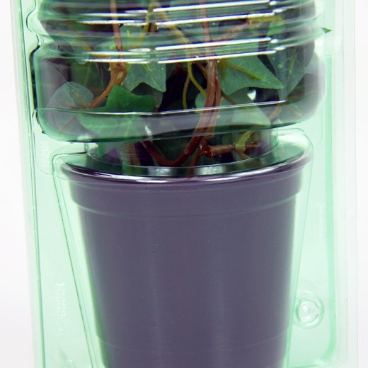Pacco per ordine per corrispondenza per 1 pianta in un vaso di ø10,5x9cm.