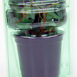 Pacco per ordine per corrispondenza per 1 pianta in un vaso di ø10,5x9cm.