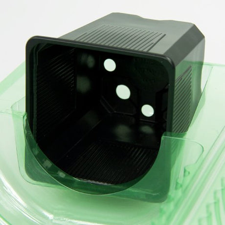 Pacco per ordine per corrispondenza per 1 pianta in un vaso di 9x9x10 cm - Confezione da 200 pz