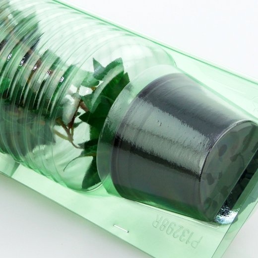 Pacco per ordine per corrispondenza per 1 pianta in un vaso ø9x7cm.