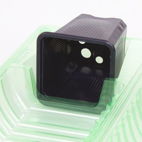 Pacco per ordine per corrispondenza per 1 pianta in vaso 7x7x8 cm - Confezione da 250 pz