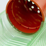 Pacco per ordine per corrispondenza per 1 pianta in un vaso di ø17x15cm.