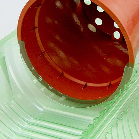 Pacco per ordine per corrispondenza per 1 pianta in un vaso di ø17x15cm - Confezione da 150 pz