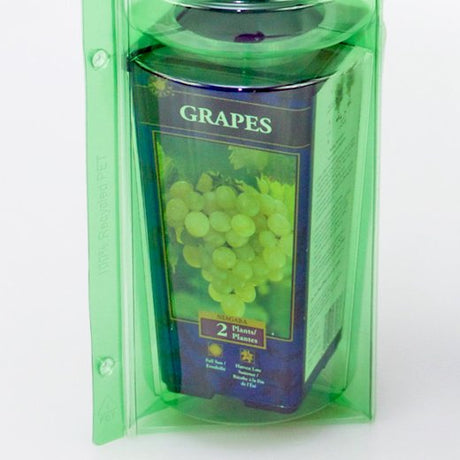 Pacco per ordine per corrispondenza per 1 pianta in un vaso di ø15x21cm (adatto anche per vasi di 11x11x21cm) - Confezione da 150 pz