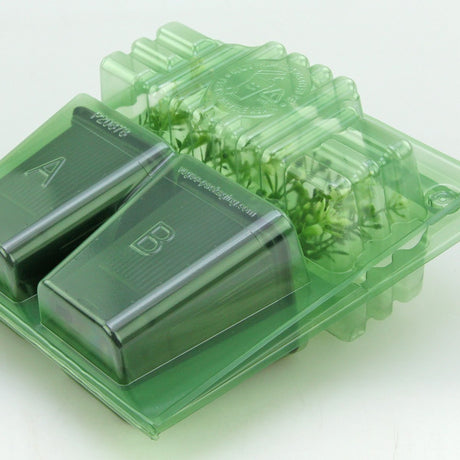 Pacco per ordine per corrispondenza contenente 2 piante in vasi di 7x7x8 cm - Confezione da 500 pz