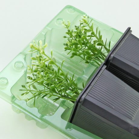 Pacco per ordine per corrispondenza contenente 2 piante in vasi di 7x7x8 cm - Confezione da 500 pz