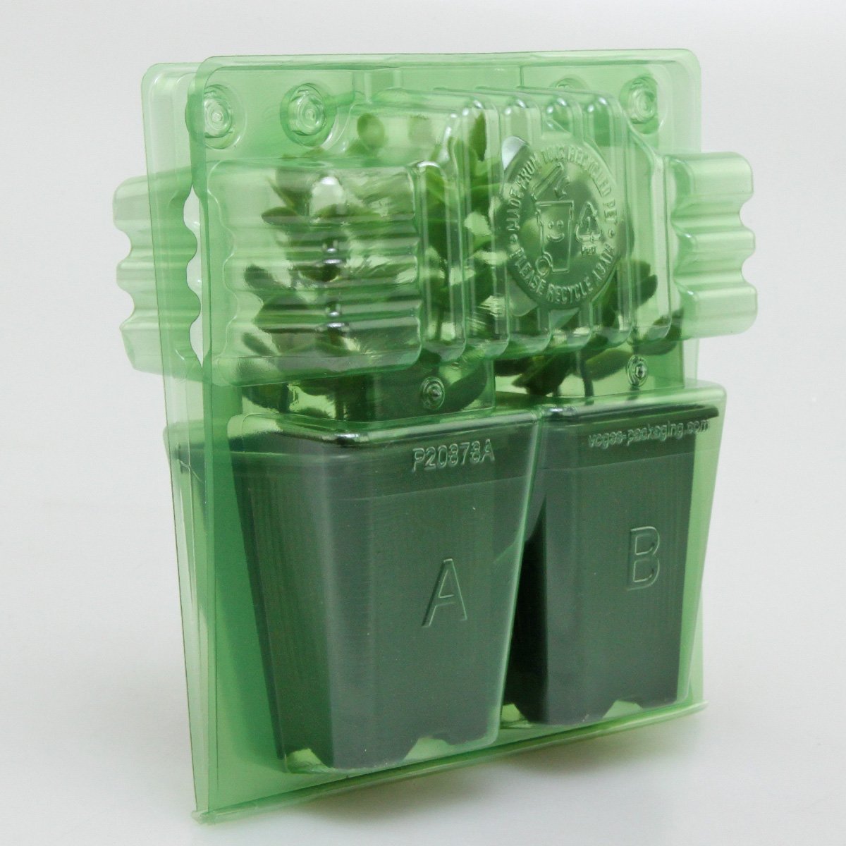 Pacco per ordine per corrispondenza contenente 2 piante in vasi di 7x7x8 cm.