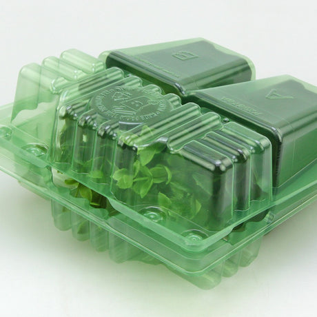 Pacco per ordine per corrispondenza contenente 2 piante in vasi di 7x7x8 cm - Confezione da 500 pz