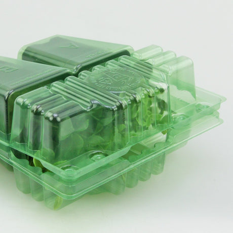 Pacco per ordine per corrispondenza contenente 2 piante in vasi di 7x7x8 cm - Confezione da 500 pz