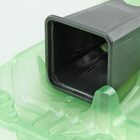 Pacco per ordine per corrispondenza contenente 2 piante in vasi di 7x7x8 cm - Confezione da 500 pz