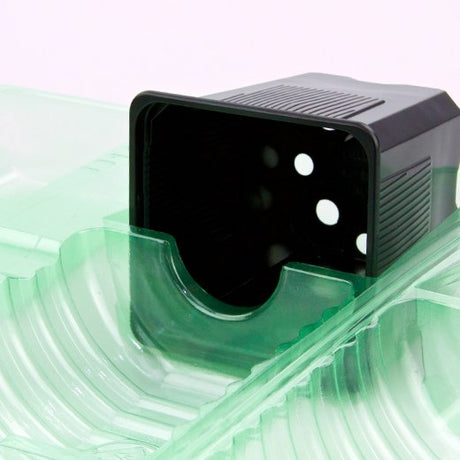 Pacco per ordine per corrispondenza contenente 2 piante in un vaso di 9x9x10 cm - Confezione da 250 pz