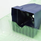 Pacco per ordine per corrispondenza contenente 2 piante in vasi di 11x11x12 cm.