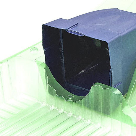 Pacco per ordine per corrispondenza contenente 2 piante in vasi di 11x11x12 cm - Confezione da 125 pz