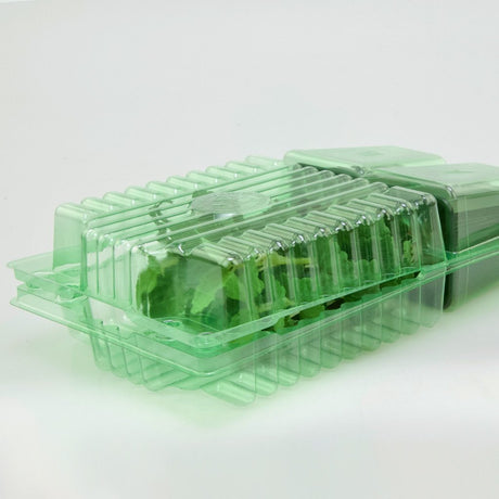 Pacco per ordine per corrispondenza contenente 2 piante in vasi di 7x7x8 cm - Confezione da 400 pz