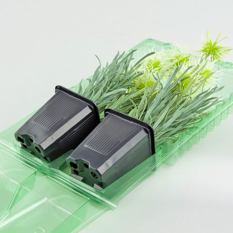 Pacco per ordine per corrispondenza contenente 2 piante in vasi di 7x7x8 cm - Confezione da 400 pz