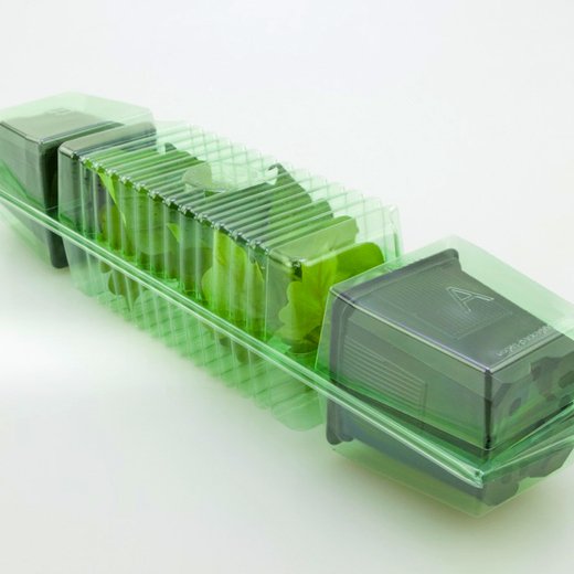 Pacco per ordine per corrispondenza contenente 2 piante in un vaso di 9x9x10 cm.