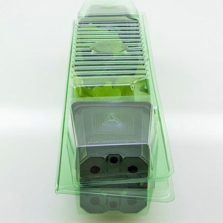 Pacco per ordine per corrispondenza contenente 2 piante in un vaso di 9x9x10 cm - Confezione da 250 pz