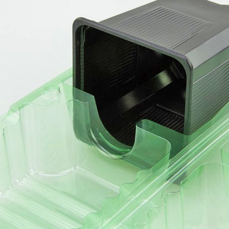 Pacco per ordine per corrispondenza contenente 2 piante in un vaso di 9x9x10 cm - Confezione da 250 pz