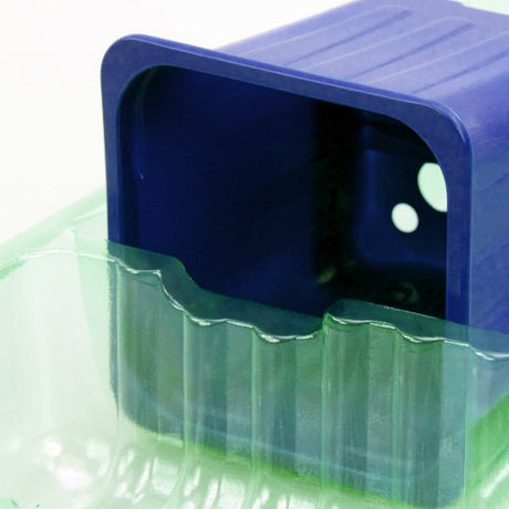 Pacco per ordine per corrispondenza contenente 3 piante in vasi di 7x7x6 cm - Confezione da 300 pz