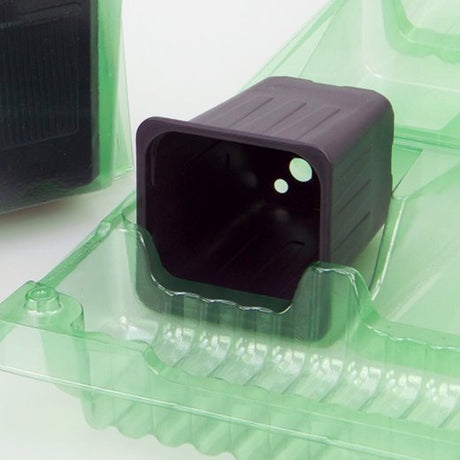 Pacco per ordine per corrispondenza contenente 3 piante in vasi di 7x7x8 cm - Confezione da 350 pz